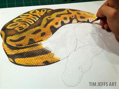 Slithering along on my Ball Python drawing. Super cool patterns on this ...