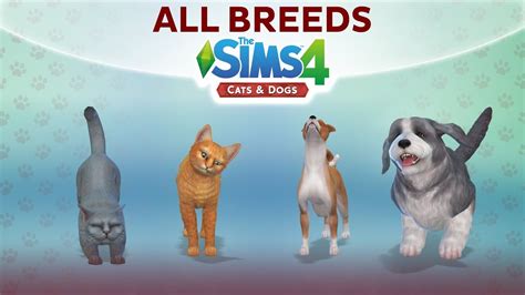 The sims 4 cats and dogs review - summitfod