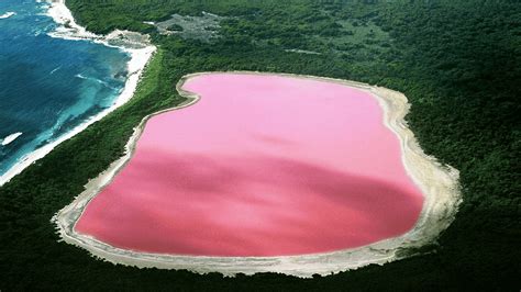 This Lake In Australia Is Pink. Here's Why