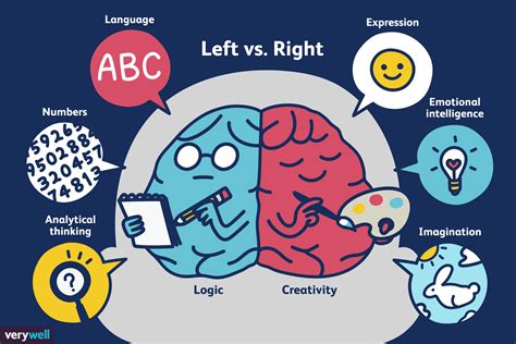 Left Brain vs. Right Brain Dominance: What's the Reality?