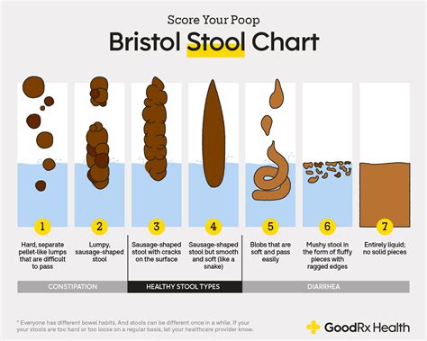 Bristol Stool Chart: Checking If Your Poop Is Healthy, 56% OFF