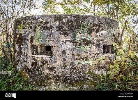 Abandoned world war army bunker covered with moss in forest. Ruins of ...