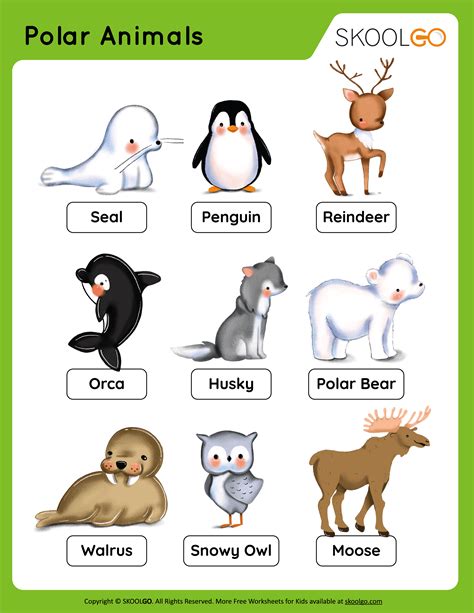 Polar Animals - Free Worksheet - SKOOLGO