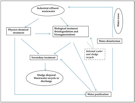 Bioaugmentation Examples