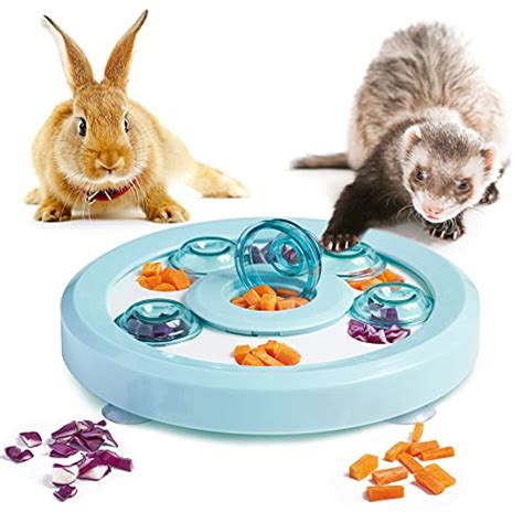 The Best Ferret Toys - CatTime