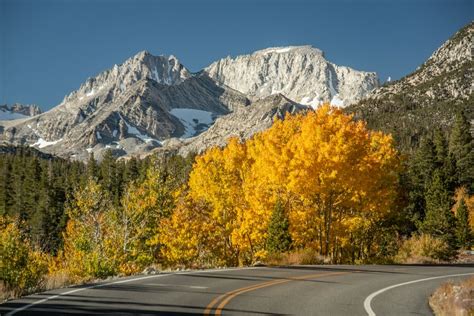 How to Find the Best Fall Colors in Mammoth Lakes - ASO Mammoth