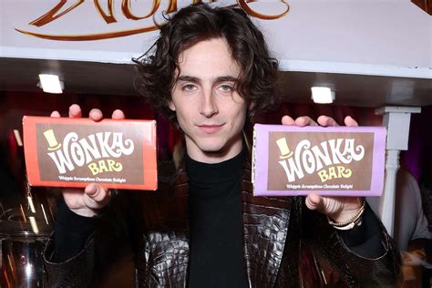 Timothée Chalamet's 'Wonka' Vocal Coach Says He's 'Naturally Musical ...