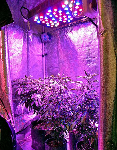 The Best Grow Tents With Lights In 2018 | Grown Indoors.org