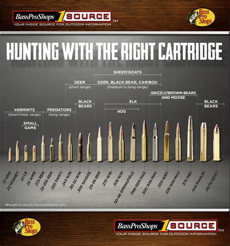 Use This Rifle Caliber Chart to Pick the Right Ammo for Hunting | Bass ...