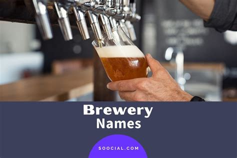 285 Creative Brewery Name Ideas that Beg for A Taste - Soocial