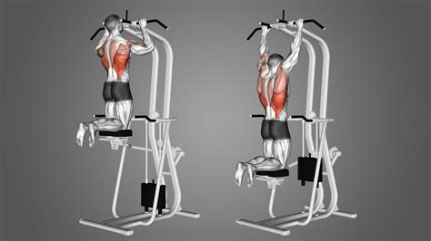 Assisted Pull-Up (Band and Machine): Benefits, Muscles Worked, and More ...