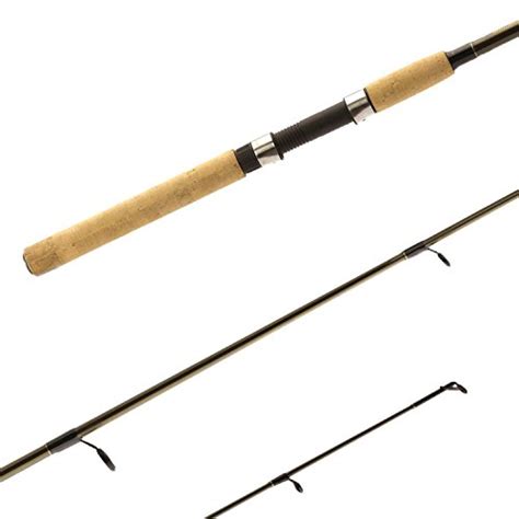 Best Beginner Fishing Rods – 2021 Buyer’s Guide