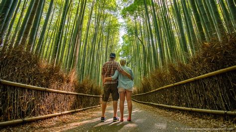 Arashiyama Bamboo Forest Kyoto (2023) | The Whole World Is A Playground