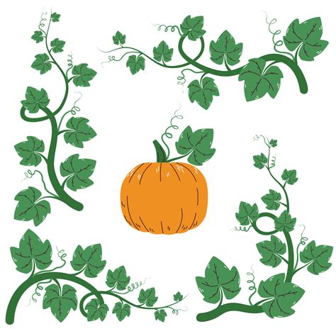 Pumpkin Plant Clipart