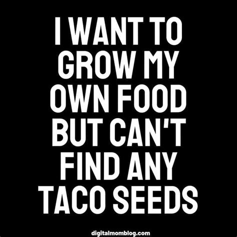 i want to grow my own food but can't find any taco seeds