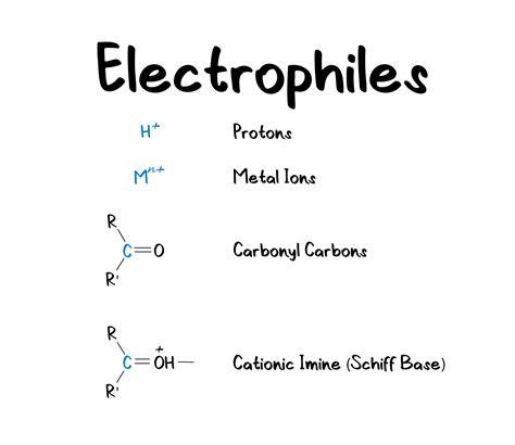 Electrophiles-1 - PhD Muscle