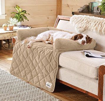 Couch Protector Dog Bed / Bolstered Couch Protector -- Orvis | Dog ...