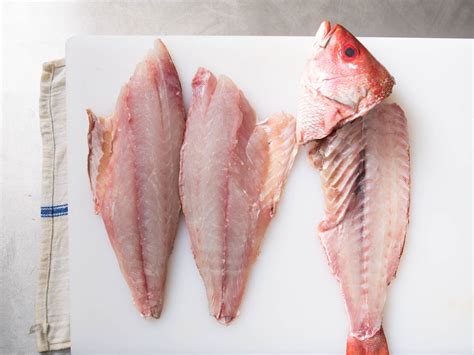 Frozen Red Snapper Fillets - Frozen Lobster Supplier, Frozen Lobster ...