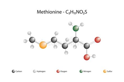 Molecular Formula of Methionine. Stock Vector - Illustration of formula ...