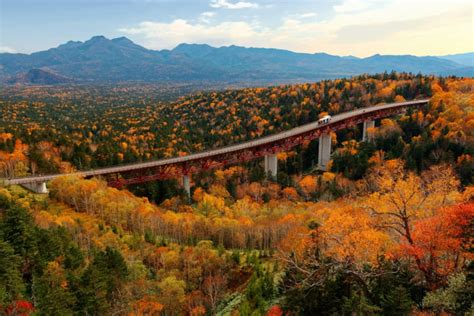 9 spectacular places to see autumn leaves in Japan