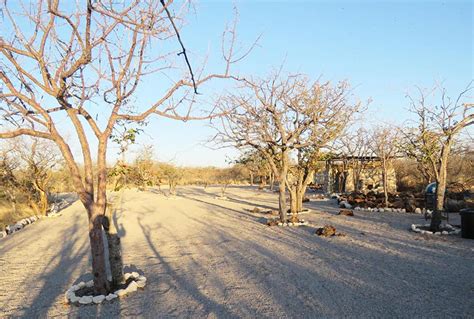 Etosha Village Campsite - Etosha Campsites - Book Now!