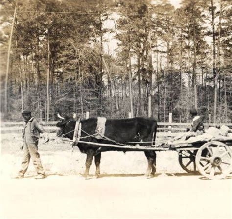 Monroe County, Alabama From the Alabama Department of Archives and ...