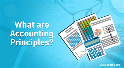 What are Accounting Principles? | Guide to Top 12 Accounting Principles