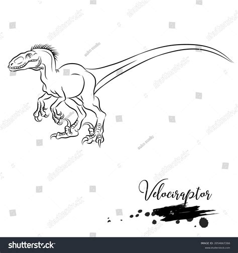 Velociraptor Realistic Sketch Dinosaur Vector Illustration: เวกเตอร์ ...