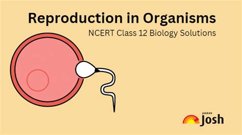 NCERT Solutions for Class 12 Chapter 1 Reproduction in Organisms ...