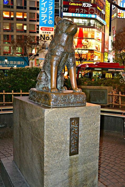 Hachikō Statue at Shibuya Station, Tokyo | Famous dogs, Statue, Dog movies