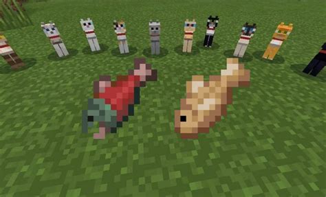 What do cats eat in Minecraft 1.19 update?