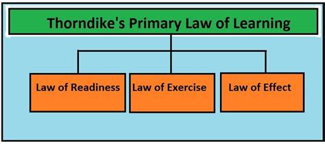 3 Primary Law of Learning - Law of Readiness - Law of Exercise - Effect