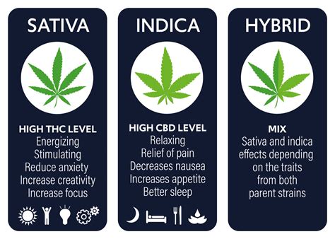 How Cannabis Strains Get Their Names - Dank Budz