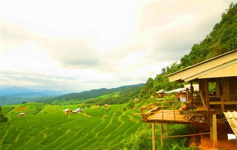 Pa Pong Piang Rice Terraces - Chiang Mai's Best Kept Secret