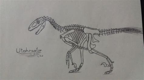 Utahraptor Skeleton Diagram