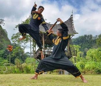 UsefulNotes / Silat - TV Tropes