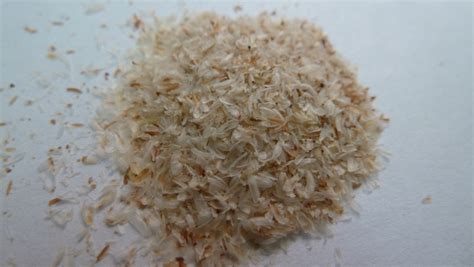 Psyllium side effects | General center | SteadyHealth.com