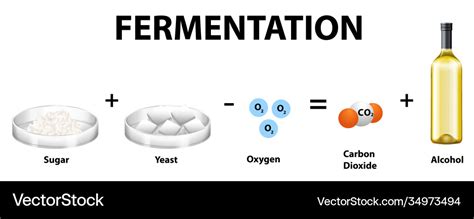 Recommendation Yeast Fermentation Equation Lyfe Support Blogspot