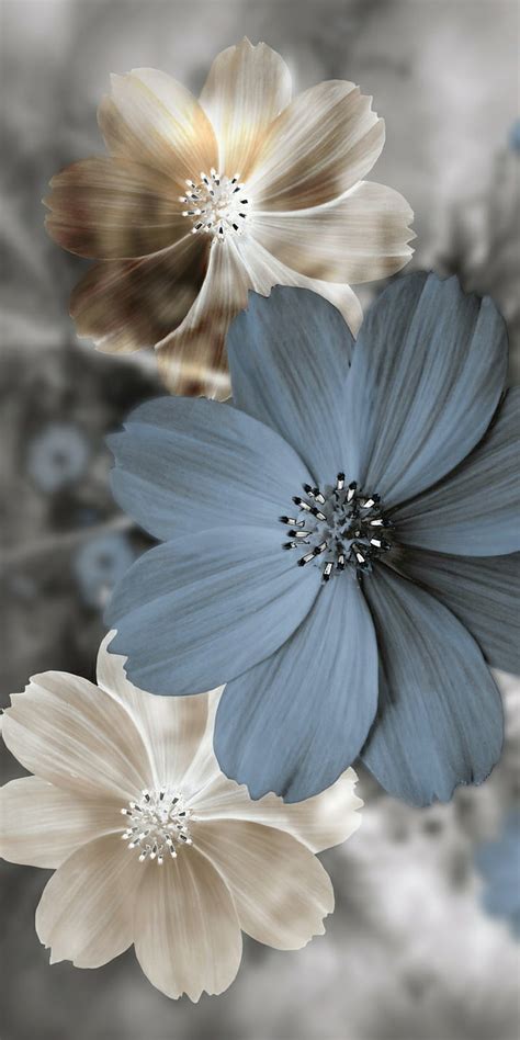 Flowers, 3d, pale, HD phone wallpaper | Peakpx