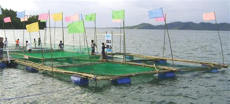 Fish Cage Systems at Rs 70000/piece | aquaculture net cage, Fish Cages ...