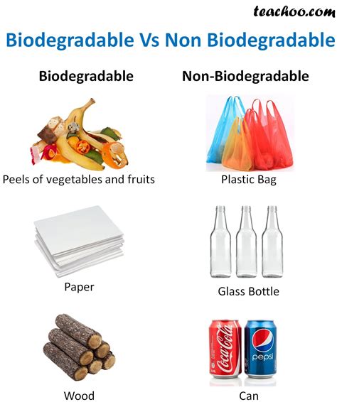 What Are Biodegradable And Non Biodegradable Materials With Examples ...