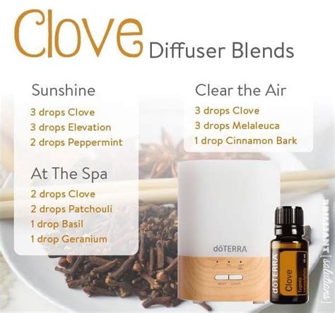 Clove EO Best Essential Oil Diffuser, Clove Essential Oil, Essential ...