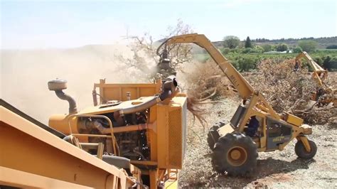 Chipper Machines: Landclearing for Venter Boerdery, Kirkwood, South ...