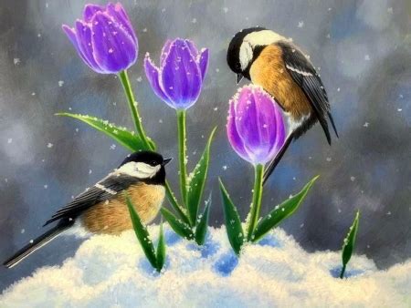 Spring Snow - Spring Wallpapers and Images - Desktop Nexus Groups