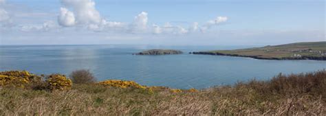 Local Beaches near Cardigan