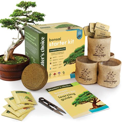 Buy Bonsai Starter Kit - The Complete Growing Kit to Easily Grow 4 ...