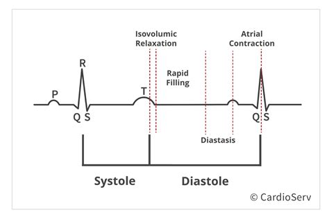 Understanding the Basics: Physiology of Diastole Cardioserv