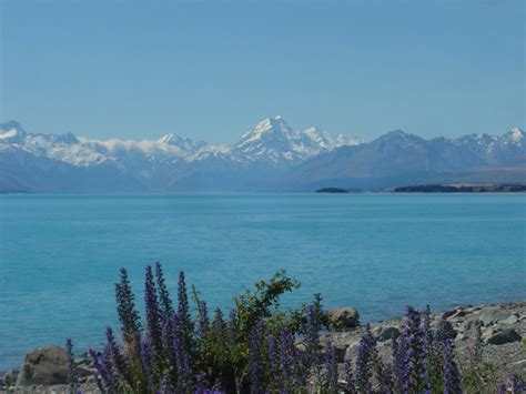 Lake Pukaki & Mount Cook (Aoraki), New Zealand | Natural landmarks, New ...