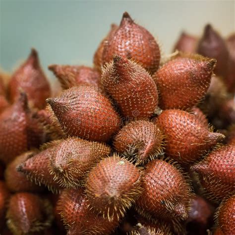 Salacca Zalacca Fruit Of Thailand Stock Photo - Image of color, healthy ...