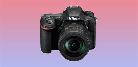 Nikon D500 vs D850: Which One Should You Buy?